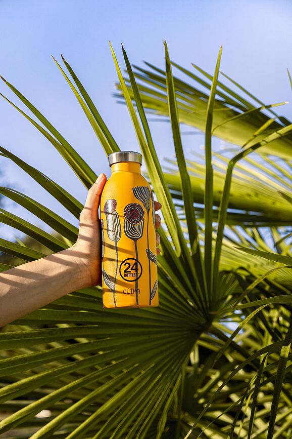 Clima Floral Begonia Termo Steklenica, 500 ml