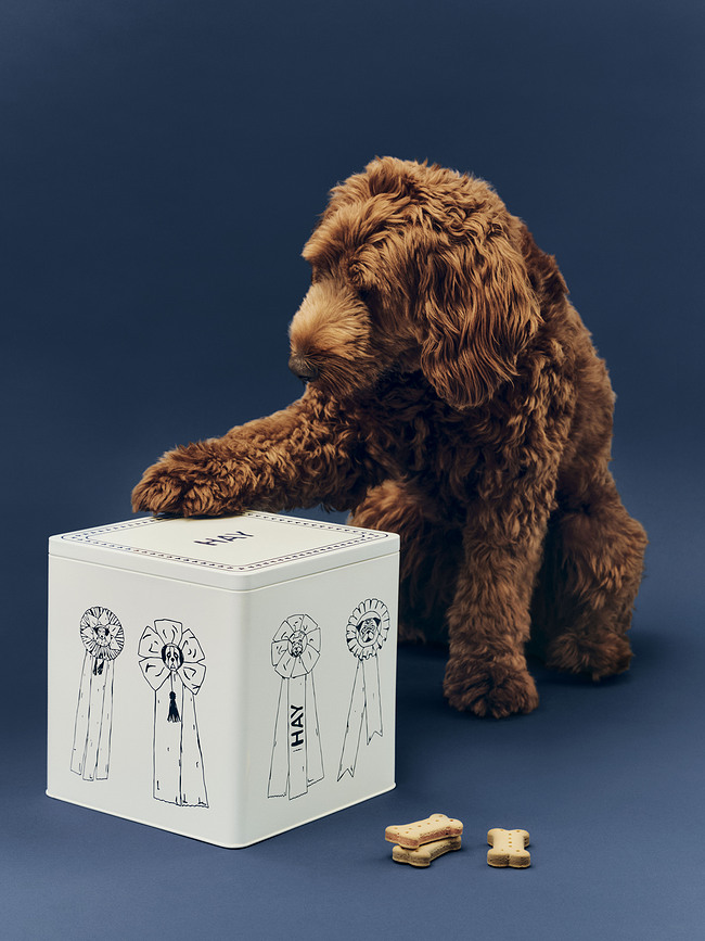 Contenitore per cibo per cani Hay, bianco-blu
