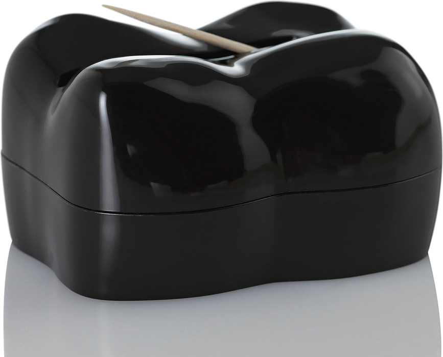 Stuzzi Distributeur de Cure-dents, noir