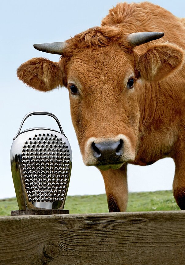 Cheese Please Rende za sir