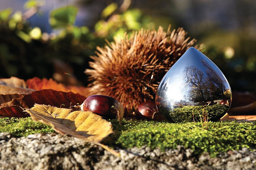 Chestnut Škatlica za zdravila, srebrna