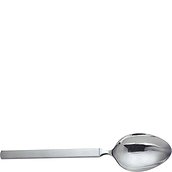 Dry Serving spoon