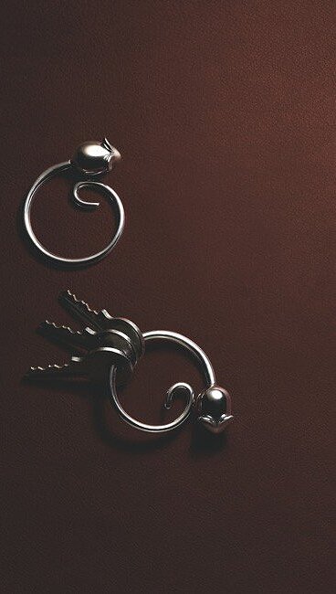 Pip Μπρελόκ, ασημένιο