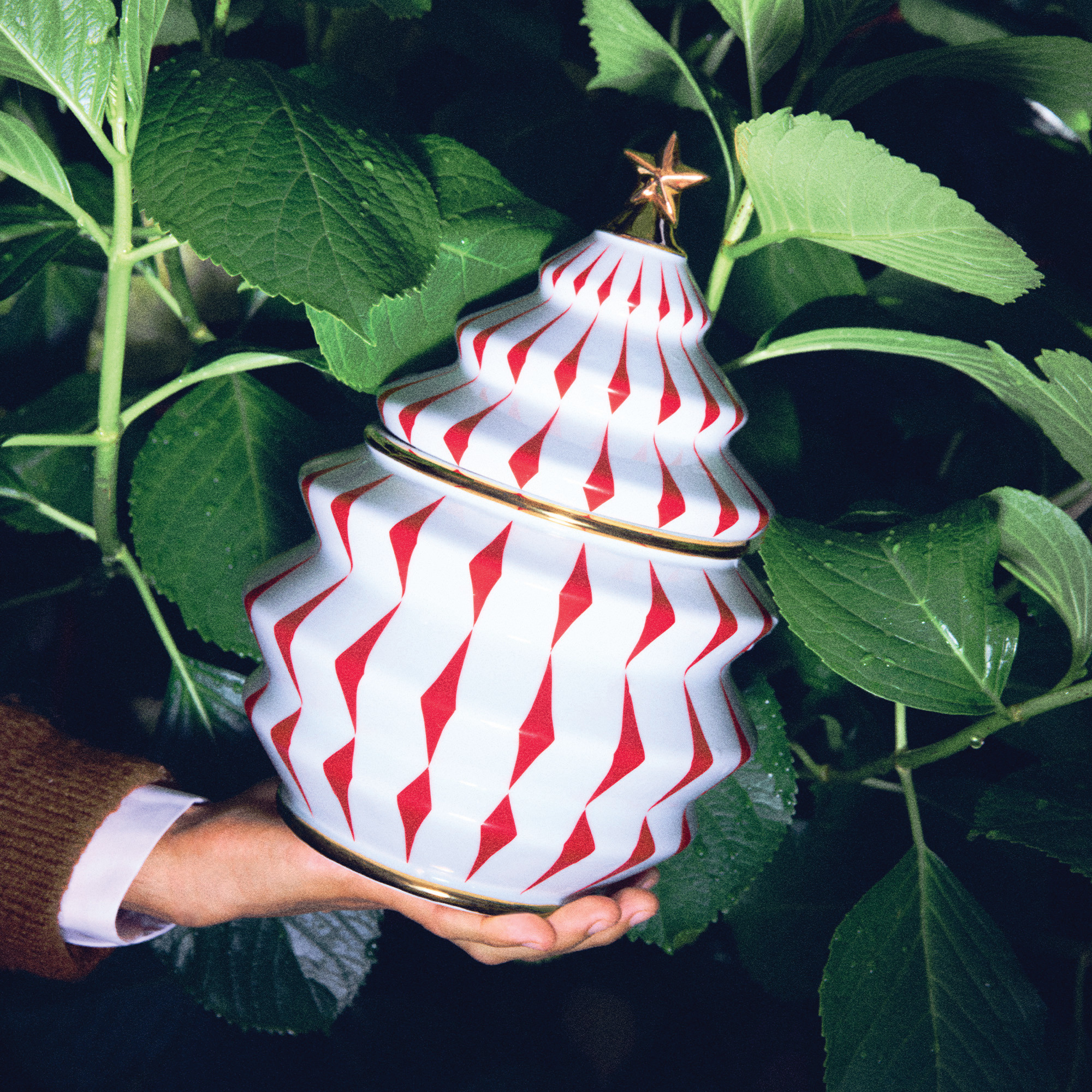 Villeroy Kerst Koekjesdoos Groot