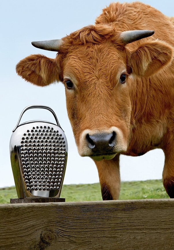 Rallador Cheese Please