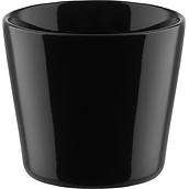 Tonale Cup black