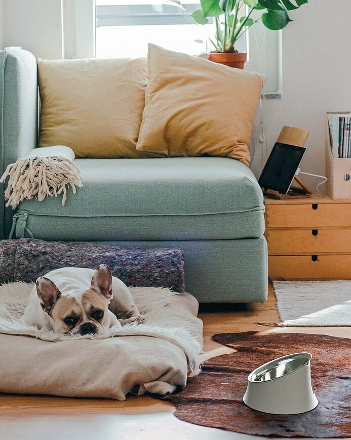 Wowl Μπολ για Σκύλο, 21 εκ., μαύρο