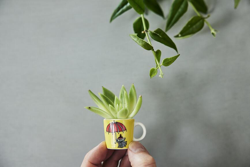 Arabia Finland Šalice mini Moomin Serija 1 6 kom.