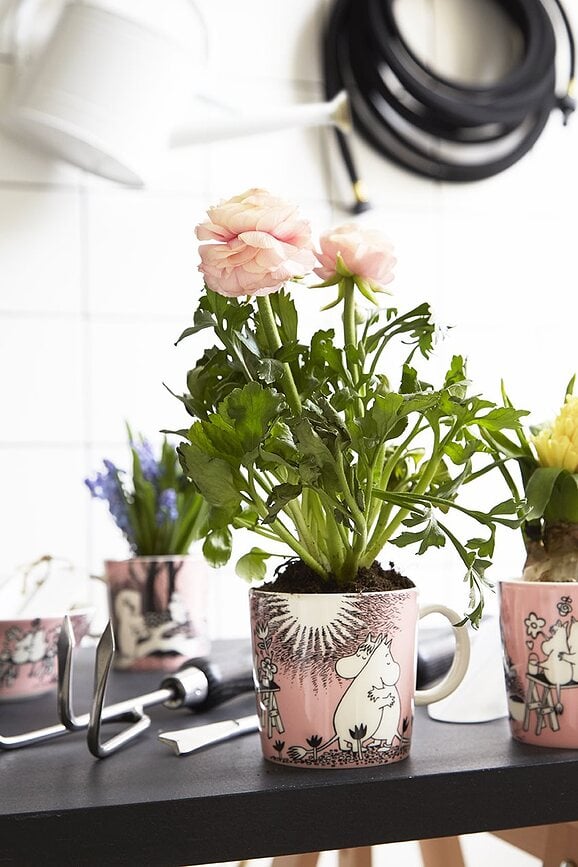 Taza Arabia Finland Moomin, diseño Muminek, verde