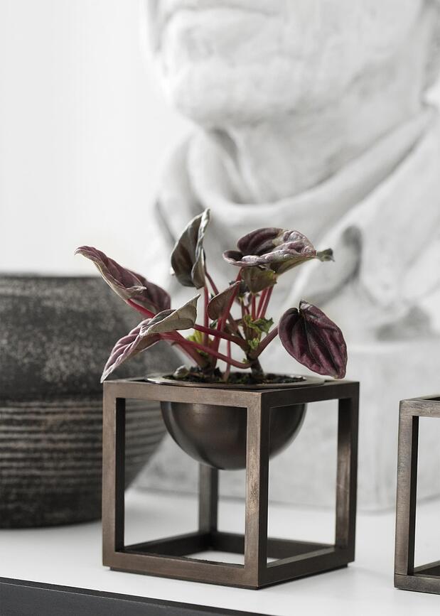 By Lassen Posodica mini na stojalu, medeninasta