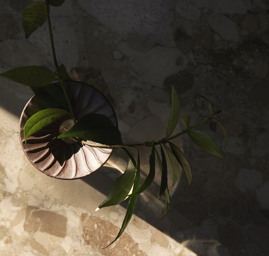 Cresco Βάζα για πολλαπλασιασμό φυτών, 2 τμχ