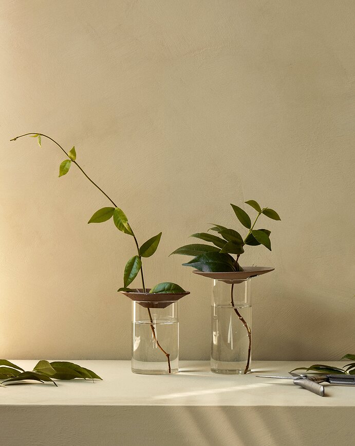 Cresco Vaze za ukoreninjanje rastlin, 2 kosa