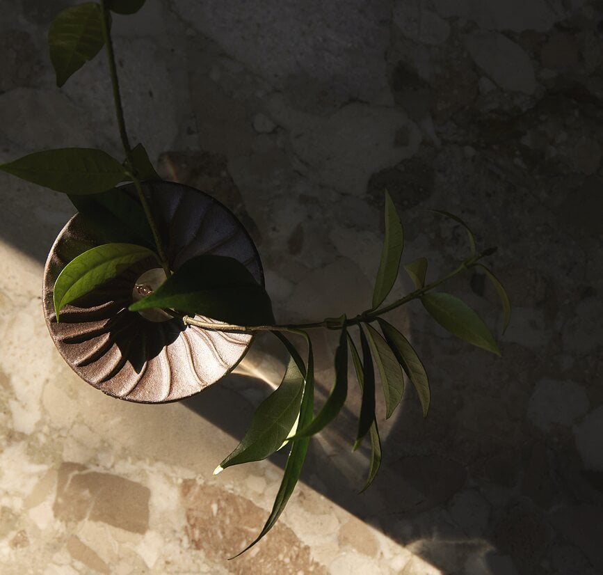 Jarrones para enraizar plantas Cresco, 2 unidades