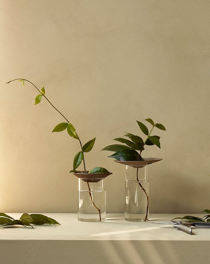 Jarrones para enraizar plantas Cresco, 2 unidades