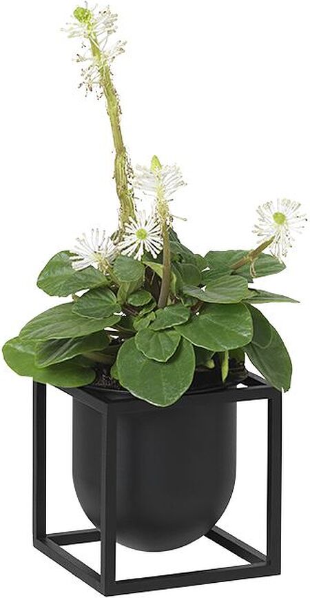 Kubus Cache-Pot sur pied, 10 cm, blanc