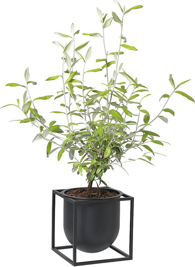 Kubus Cache-pot avec support, 14 cm, noir