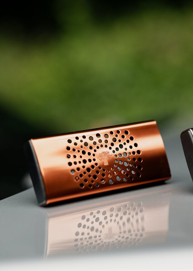 Baobab Cyprium Diffuseur de Parfum pour Voiture