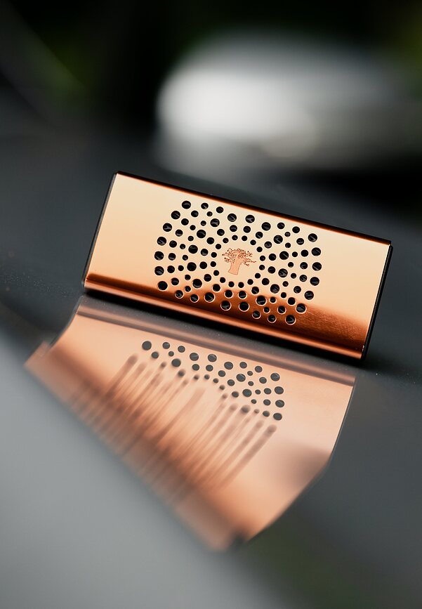 Baobab Cyprium Diffuseur de Parfum pour Voiture