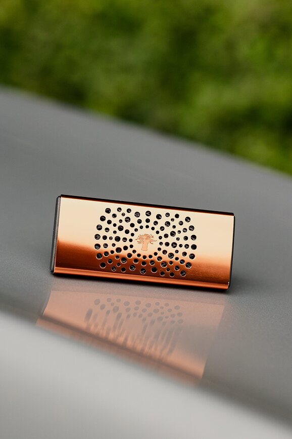 Baobab Cyprium Diffuseur de Parfum pour Voiture