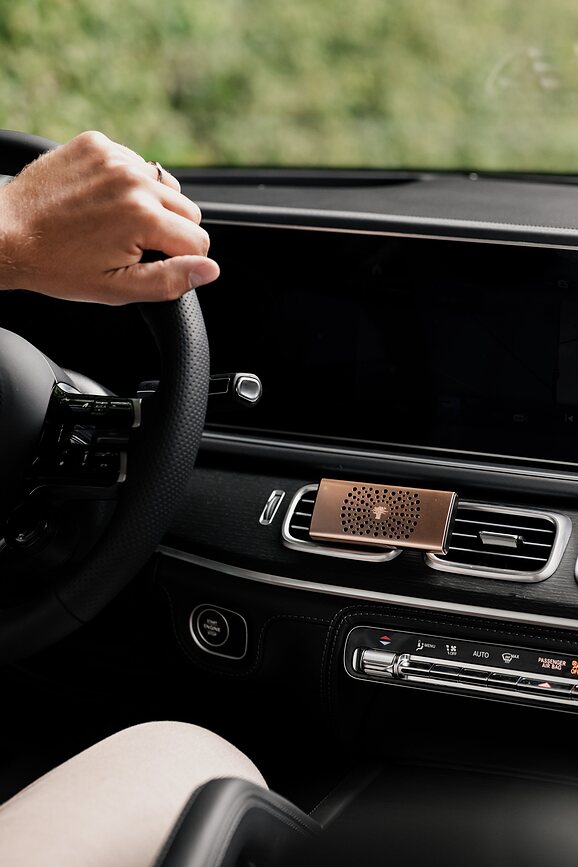 Baobab Difuzor Mirisa za automobil Pearls White