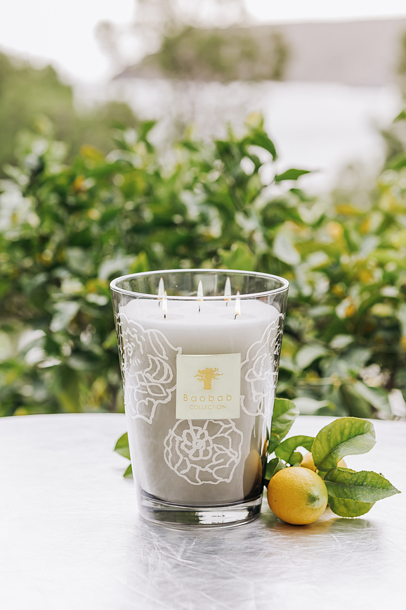 Collectible Roses Dišeča sveča, 35 cm, siva