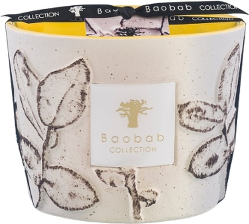 Folia Calanque Dišeča Sveča, 10 cm