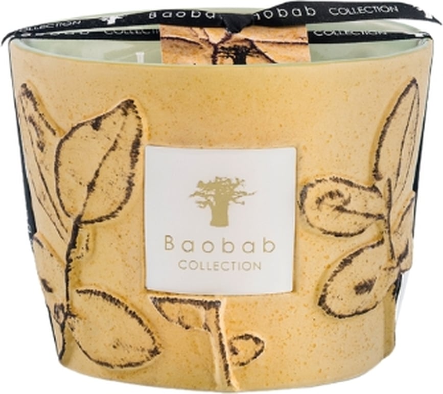 Folia Garrigue Dišeča sveča, 10 cm