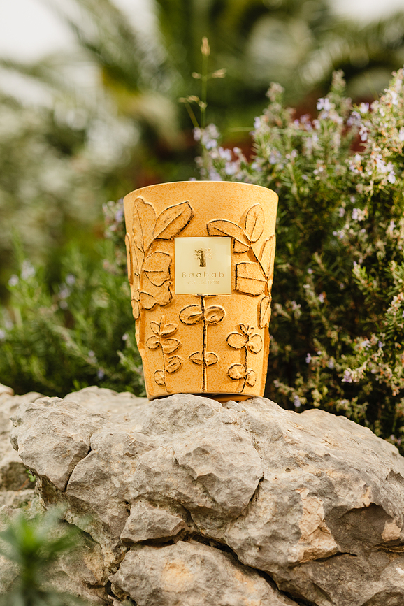 Folia Garrigue Dišeča Sveča, 35 cm