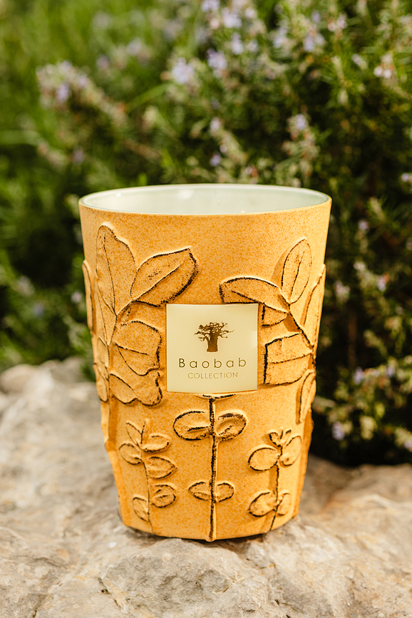 Folia Garrigue Dišeča Sveča, 35 cm