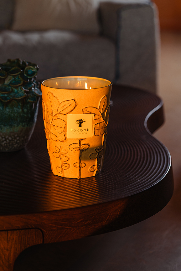 Folia Garrigue Dišeča Sveča, 35 cm