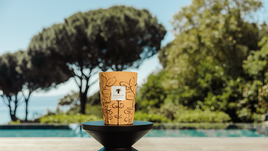 Folia Garrigue Dišeča Sveča, 35 cm