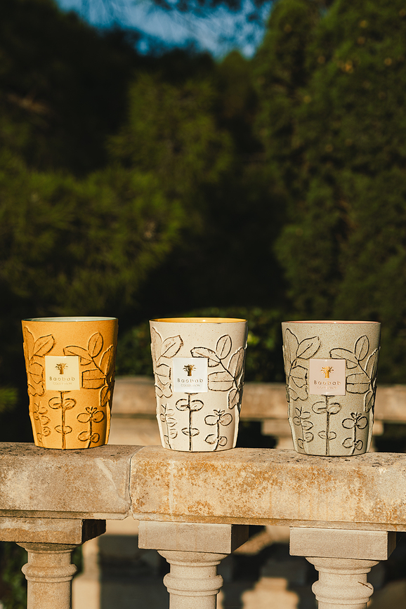 Folia Garrigue Dišeča Sveča, 35 cm