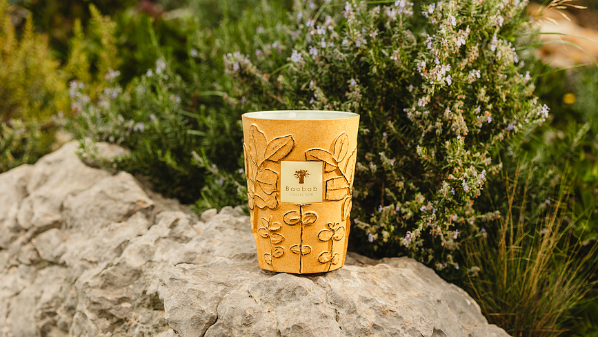 Folia Garrigue Dišeča Sveča, 35 cm