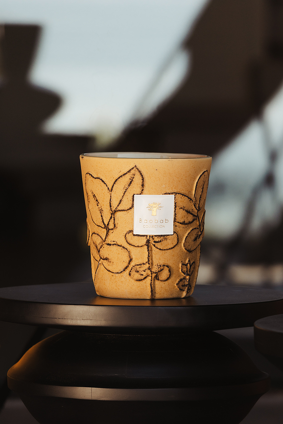 Folia Garrigue Dišeča Sveča, 35 cm