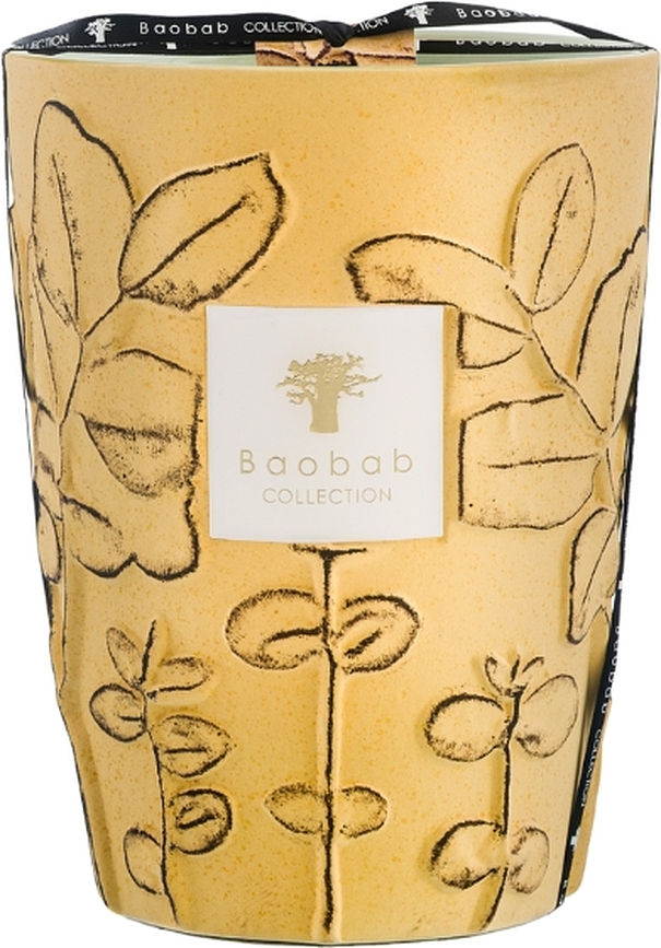 Folia Garrigue Κερί Αρωματικό, 24 cm