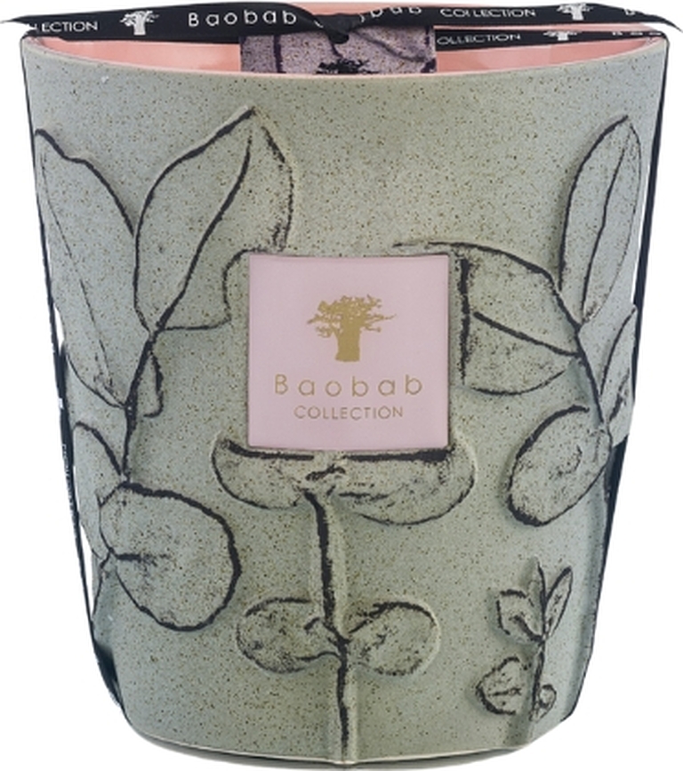 Folia Maquis Dišeča sveča, 16 cm