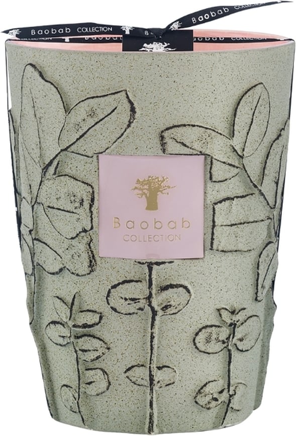 Folia Maquis Dišeča sveča, 24 cm