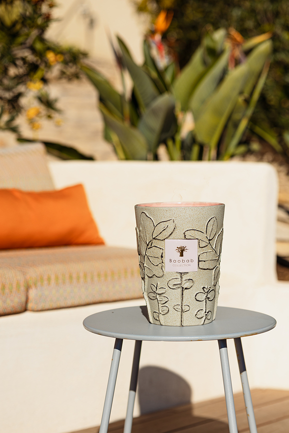 Folia Maquis Dišeča sveča, 35 cm