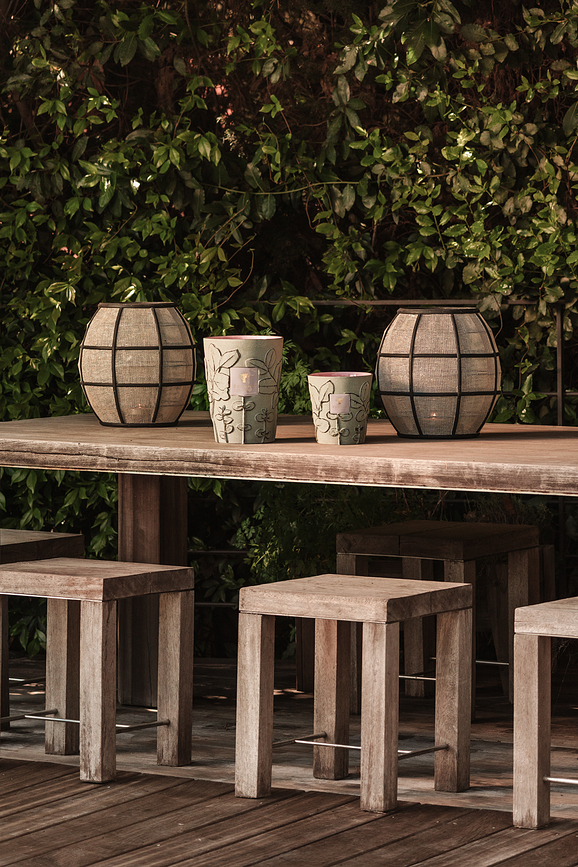 Folia Maquis Dišeča sveča, 35 cm