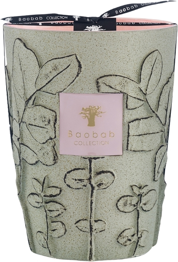 Folia Maquis ΚΕΡΙ αρωματικό, 24 εκ.