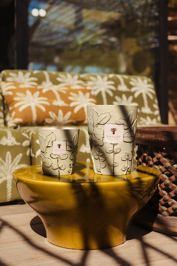 Folia Maquis ΚΕΡΙ ΑΡΩΜΑΤΙΚΟ, 35 cm