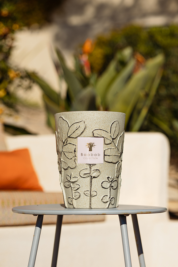 Folia Maquis ΚΕΡΙ ΑΡΩΜΑΤΙΚΟ, 35 cm