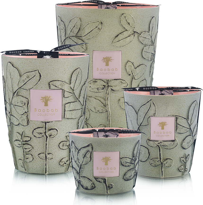 Folia Maquis ΚΕΡΙ ΑΡΩΜΑΤΙΚΟ, 35 cm