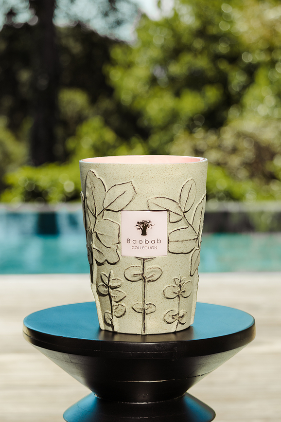 Folia Maquis ΚΕΡΙ ΑΡΩΜΑΤΙΚΟ, 35 cm