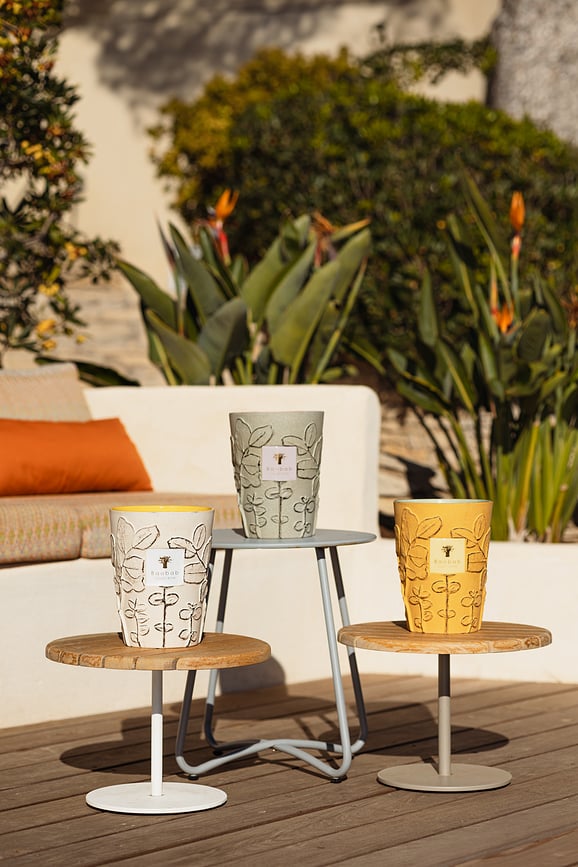 Folia Maquis Svijeća mirisna 35 cm