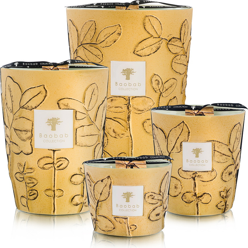 Vela aromática Folia Garrigue, 35 cm