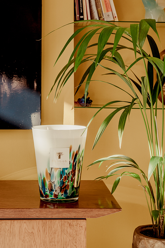 Vela aromática Rainforest Amazonia, 35 cm