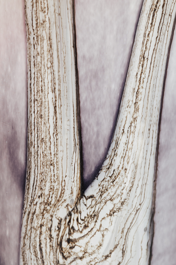 Woods Broceliande Κερί αρωματικό, 35 cm