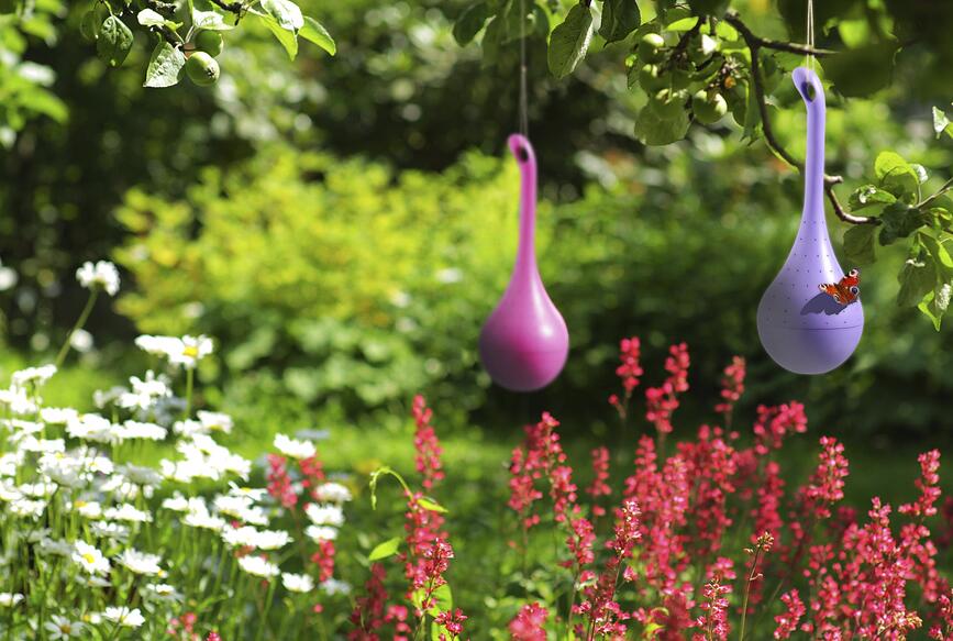 Butterfly Oasis Hranilica za Leptire ljubičasta