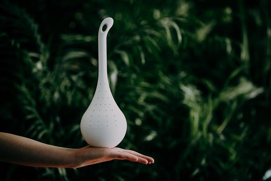 Butterfly Oasis Mangeoire à Papillons, violette